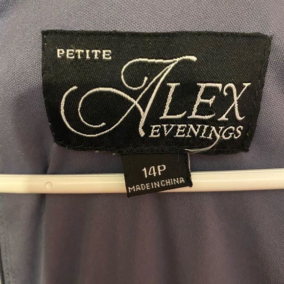 ALEX EVENINGS NAVY BLUE SILVER ROSETTE EMBROIDERED FLARE DRESS size 14P - Picture 7 of 10